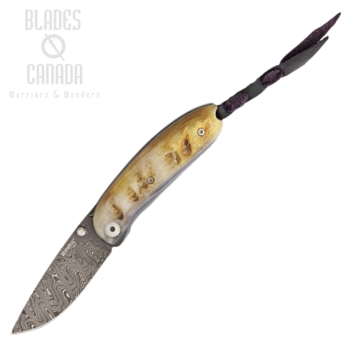 Lion Steel 8210D MN Mini Folding Knife, Damascus, Ram Horn Handle, 8210D MN